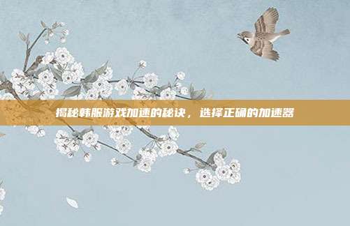 揭秘韩服游戏加速的秘诀,选择正确的加速器