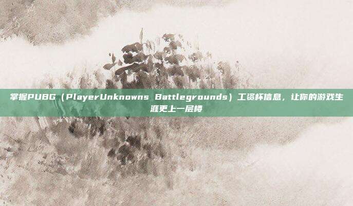 掌握PUBG(PlayerUnknowns Battlegrounds)工资杯信息,让你的游戏生涯更上一层楼