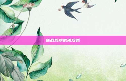 逆战玛丽武弟攻略