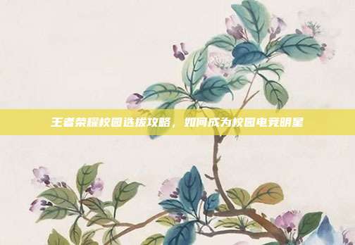 王者荣耀校园选拔攻略,如何成为校园电竞明星