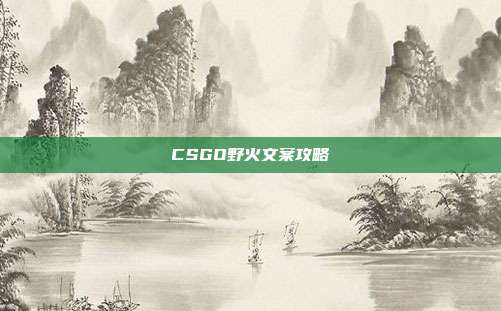 CSGO野火文案攻略