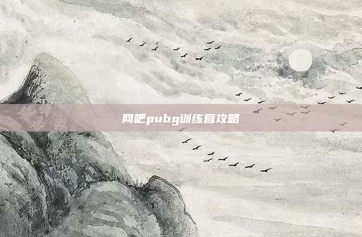 网吧pubg训练营攻略