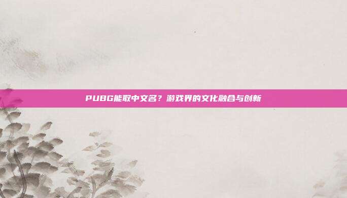 PUBG能取中文名?游戏界的文化融合与创新