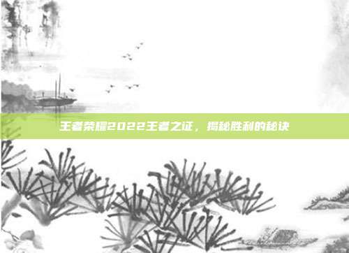 王者荣耀2022王者之证,揭秘胜利的秘诀