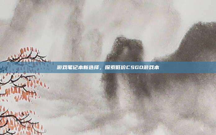 游戏笔记本新选择,探索低价CSGO游戏本