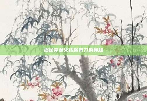 揭秘穿越火线稀有刀的奥秘