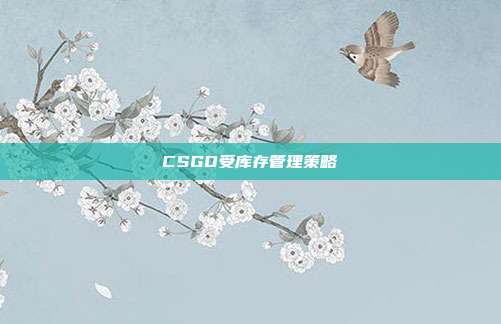CSGO受库存管理策略