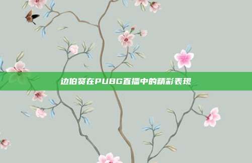 边伯贤在PUBG直播中的精彩表现