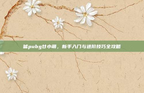 嘘pubg廿小萌,新手入门与进阶技巧全攻略