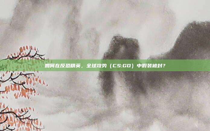 如何在反恐精英,全球攻势(CS:GO)中假装被封?