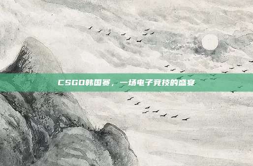 CSGO韩国赛,一场电子竞技的盛宴