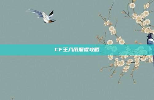 CF王八用恶棍攻略