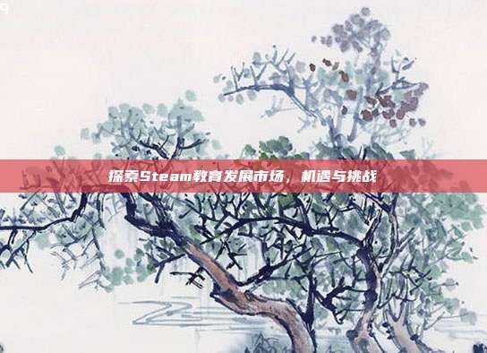 探索Steam教育发展市场,机遇与挑战