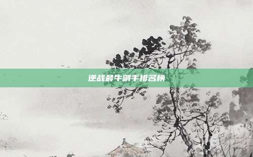 逆战最牛副手排名榜