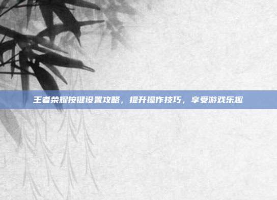 王者荣耀按键设置攻略,提升操作技巧,享受游戏乐趣