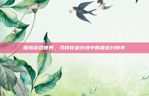 探索游戏世界,寻找穿越火线中的最佳分辨率