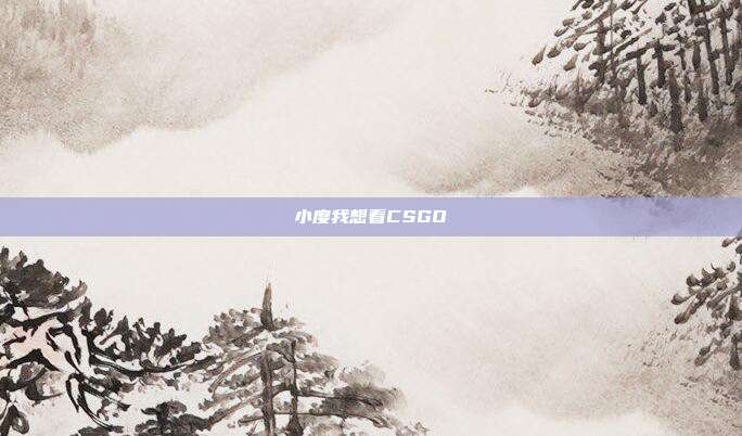 小度我想看CSGO