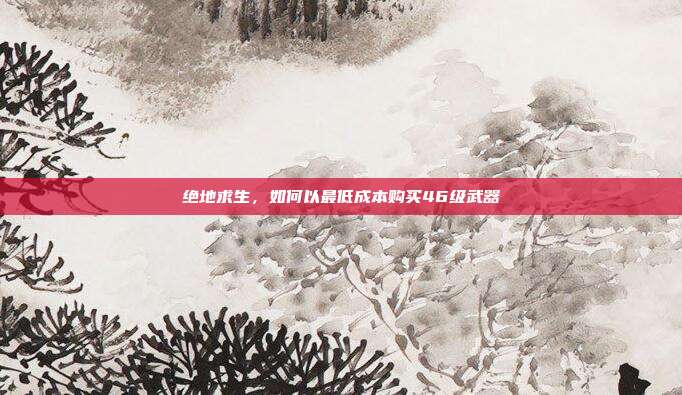 绝地求生,如何以最低成本购买46级武器