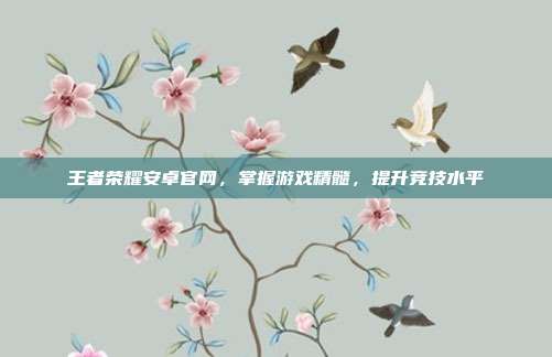 王者荣耀安卓官网，掌握游戏精髓，提升竞技水平