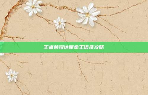 王者荣耀达摩拳王语录攻略