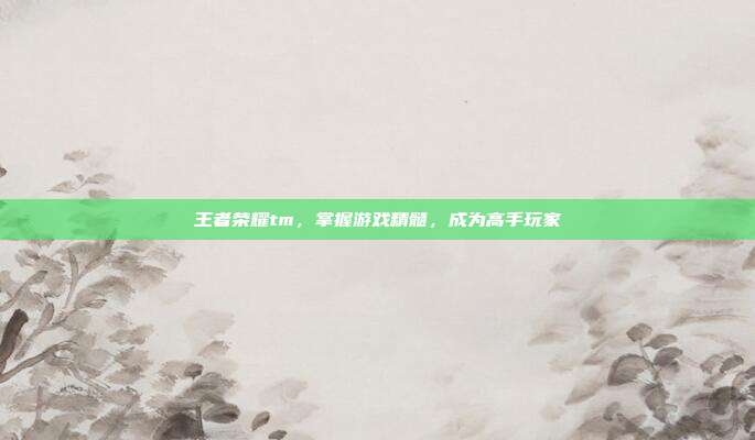 王者荣耀tm,掌握游戏精髓,成为高手玩家