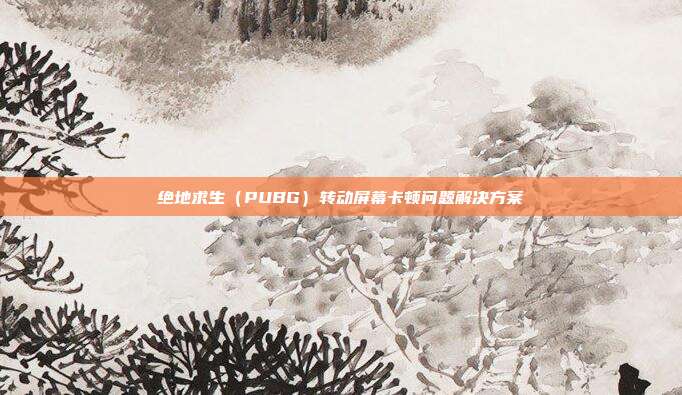 绝地求生(PUBG)转动屏幕卡顿问题解决方案