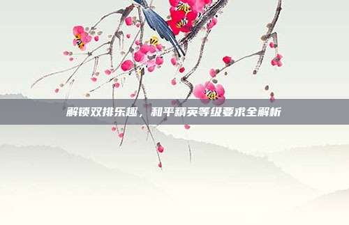 解锁双排乐趣,和平精英等级要求全解析