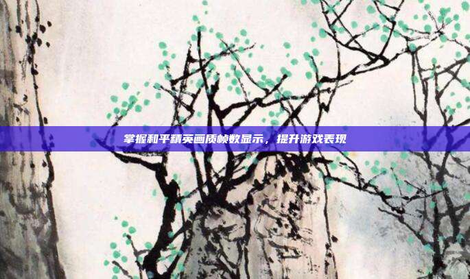 掌握和平精英画质帧数显示,提升游戏表现