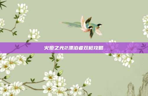 火炬之光2漂泊者双枪攻略