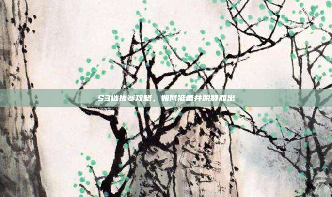 S3选拔赛攻略，如何准备并脱颖而出