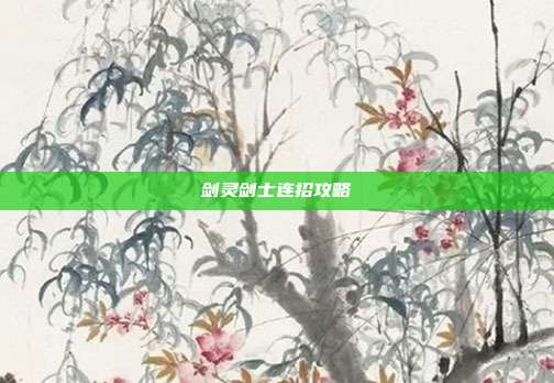 剑灵剑士连招攻略