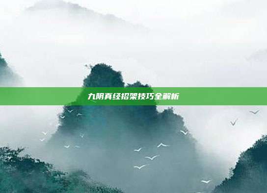 九阴真经招架技巧全解析