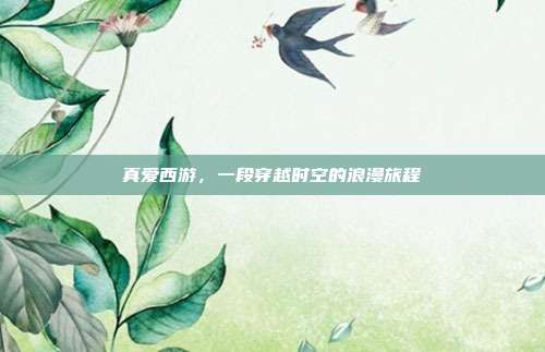 真爱西游,一段穿越时空的浪漫旅程