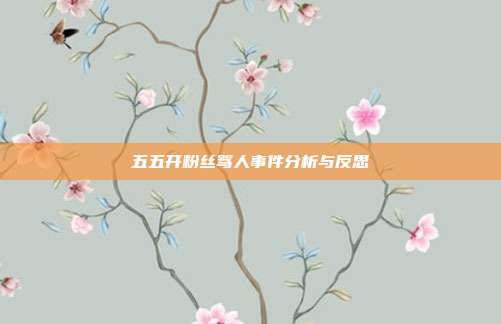 五五开粉丝骂人事件分析与反思