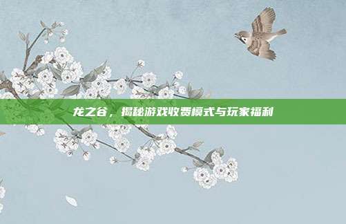 龙之谷,揭秘游戏收费模式与玩家福利