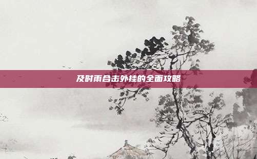 及时雨合击外挂的全面攻略