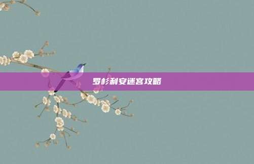 罗杉利安迷宫攻略