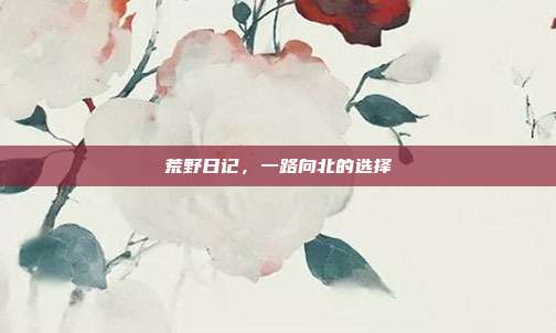 荒野日记,一路向北的选择