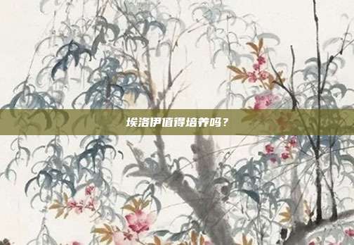 埃洛伊值得培养吗?