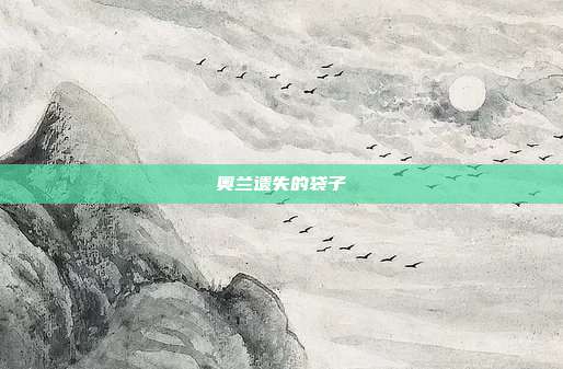 奥兰遗失的袋子