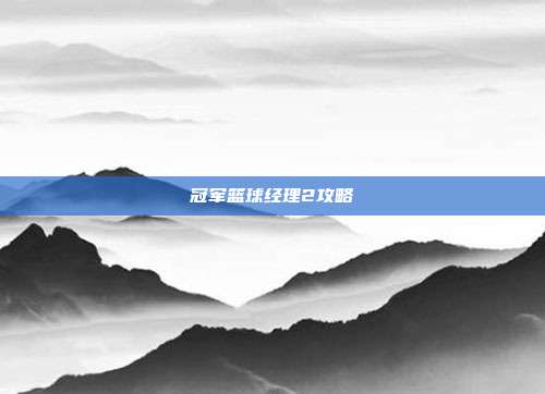 冠军篮球经理2攻略