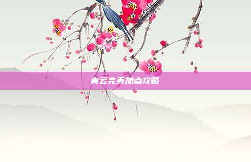 青云完美加点攻略