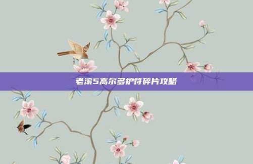 老滚5高尔多护符碎片攻略