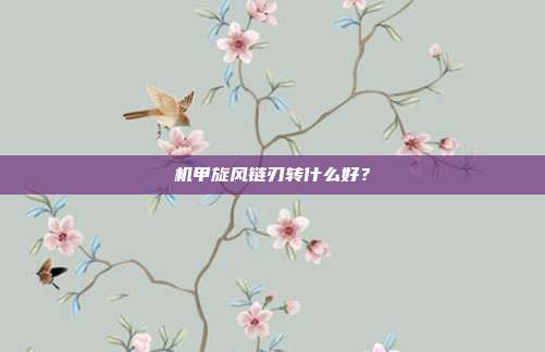 机甲旋风链刃转什么好?