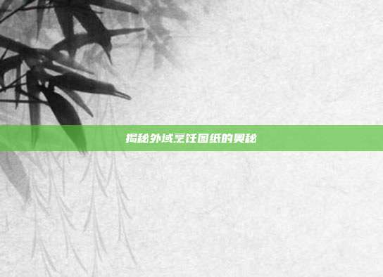 揭秘外域烹饪图纸的奥秘