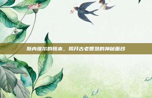 斯内维尔的账本,揭开古老智慧的神秘面纱