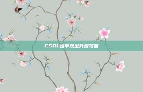 CSOL恒宇双星升级攻略