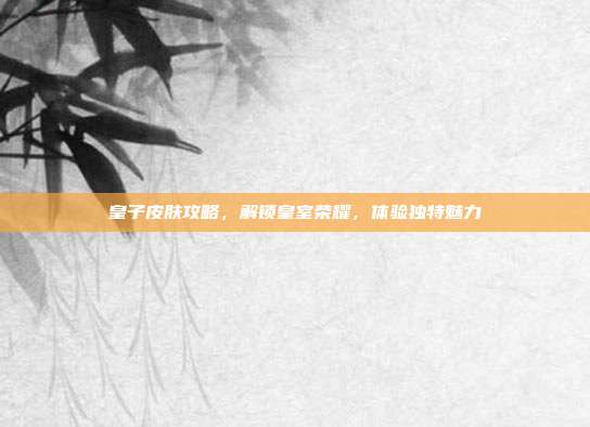 皇子皮肤攻略,解锁皇室荣耀,体验独特魅力
