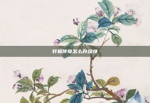 轩辕传奇怎么升级快