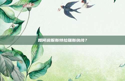 如何说服斯特拉瑞斯纨绔?